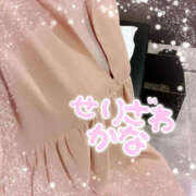 ヒメ日記 2025/03/26 10:45 投稿 芹沢かな TSUBAKI（水戸）