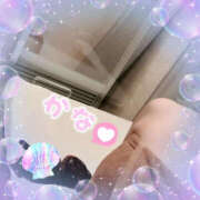 ヒメ日記 2025/04/12 10:49 投稿 芹沢かな TSUBAKI（水戸）