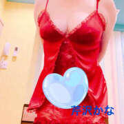 ヒメ日記 2025/05/27 11:46 投稿 芹沢かな TSUBAKI（水戸）