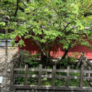 ヒメ日記 2025/07/18 16:04 投稿 芹沢かな TSUBAKI（水戸）