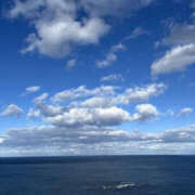 ヒメ日記 2025/07/24 20:51 投稿 芹沢かな TSUBAKI（水戸）