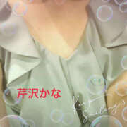 ヒメ日記 2025/11/20 10:50 投稿 芹沢かな TSUBAKI（水戸）