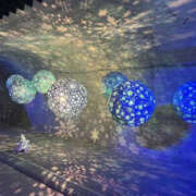 ヒメ日記 2025/11/24 21:19 投稿 芹沢かな TSUBAKI（水戸）