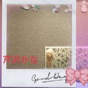 ヒメ日記 2025/12/12 10:55 投稿 芹沢かな TSUBAKI（水戸）