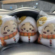 ヒメ日記 2025/12/13 15:43 投稿 芹沢かな TSUBAKI（水戸）