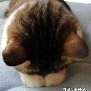 ヒメ日記 2026/06/14 13:14 投稿 大塚【おおつか】 丸妻 西船橋店