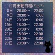 れん 11月出勤日程です 千葉中央人妻援護会