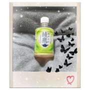 ヒメ日記 2025/02/09 02:03 投稿 れん 千葉中央人妻援護会