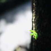 ヒメ日記 2025/12/23 09:18 投稿 りんか もしも素敵な妻が指輪をはずしたら・・・