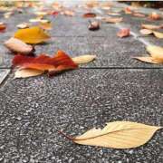 ヒメ日記 2025/12/26 08:50 投稿 りんか もしも素敵な妻が指輪をはずしたら・・・