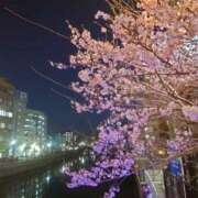 ヒメ日記 2026/03/22 02:10 投稿 りんか もしも素敵な妻が指輪をはずしたら・・・