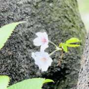 ヒメ日記 2026/03/24 10:50 投稿 りんか もしも素敵な妻が指輪をはずしたら・・・
