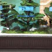 ヒメ日記 2025/01/07 05:45 投稿 ようこ 熟女総本店