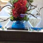 ヒメ日記 2025/01/08 05:46 投稿 ようこ 熟女総本店