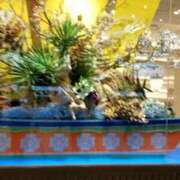 ヒメ日記 2025/01/12 05:48 投稿 ようこ 熟女総本店