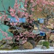 ヒメ日記 2025/01/15 05:59 投稿 ようこ 熟女総本店