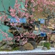 ヒメ日記 2026/01/09 23:32 投稿 ようこ 熟女総本店