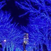 ヒメ日記 2024/12/18 17:44 投稿 樹理 人妻の出会い