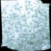 ヒメ日記 2025/04/06 22:27 投稿 栄子 人妻の出会い