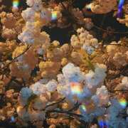 ヒメ日記 2025/04/13 15:47 投稿 由香 人妻の出会い