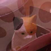 ヒメ日記 2025/08/08 13:29 投稿 由香 人妻の出会い