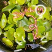 ヒメ日記 2025/09/27 16:02 投稿 由香 人妻の出会い