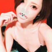 ヒメ日記 2025/04/17 23:22 投稿 ノア バニーコレクション新潟店