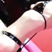 ヒメ日記 2025/10/28 08:26 投稿 ノア バニーコレクション新潟店