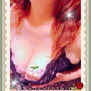 ヒメ日記 2025/11/22 13:00 投稿 福地りの(ふくちりの) 五十路マダムエクスプレス厚木店(カサブランカグループ)