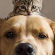 ヒメ日記 2025/01/24 01:16 投稿 早乙女 あい 30代40代50代と遊ぶなら博多人妻専科24時