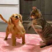 ヒメ日記 2025/01/29 15:28 投稿 早乙女 あい 30代40代50代と遊ぶなら博多人妻専科24時