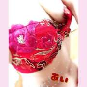 ヒメ日記 2025/04/08 00:59 投稿 早乙女 あい 30代40代50代と遊ぶなら博多人妻専科24時