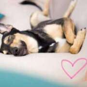 ヒメ日記 2025/07/11 14:18 投稿 早乙女 あい 30代40代50代と遊ぶなら博多人妻専科24時