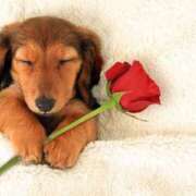 ヒメ日記 2025/10/23 16:28 投稿 早乙女 あい 30代40代50代と遊ぶなら博多人妻専科24時