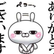 ヒメ日記 2025/11/15 05:46 投稿 早乙女 あい 30代40代50代と遊ぶなら博多人妻専科24時