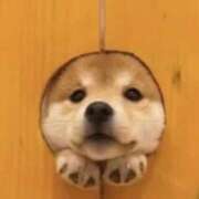 ヒメ日記 2025/11/21 05:55 投稿 早乙女 あい 30代40代50代と遊ぶなら博多人妻専科24時