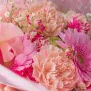 ヒメ日記 2025/11/26 22:23 投稿 早乙女 あい 30代40代50代と遊ぶなら博多人妻専科24時