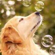 ヒメ日記 2025/12/03 04:18 投稿 早乙女 あい 30代40代50代と遊ぶなら博多人妻専科24時