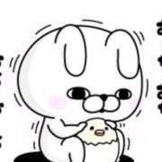 ヒメ日記 2025/12/11 04:51 投稿 早乙女 あい 30代40代50代と遊ぶなら博多人妻専科24時