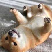 ヒメ日記 2026/01/02 22:04 投稿 早乙女 あい 30代40代50代と遊ぶなら博多人妻専科24時