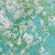 ヒメ日記 2026/02/20 23:36 投稿 早乙女 あい 30代40代50代と遊ぶなら博多人妻専科24時