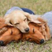 ヒメ日記 2026/03/07 02:16 投稿 早乙女 あい 30代40代50代と遊ぶなら博多人妻専科24時