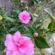 ヒメ日記 2024/12/06 07:45 投稿 らいあ 待ちナビ