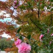 ヒメ日記 2024/12/08 18:45 投稿 らいあ 待ちナビ