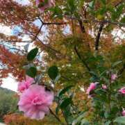 ヒメ日記 2024/12/17 12:45 投稿 らいあ 待ちナビ