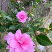 ヒメ日記 2024/12/24 09:37 投稿 らいあ 待ちナビ