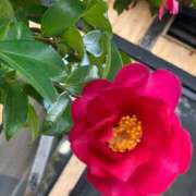 ヒメ日記 2025/01/11 08:28 投稿 らいあ 待ちナビ