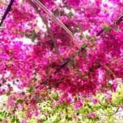 ヒメ日記 2025/03/13 10:05 投稿 らいあ 待ちナビ