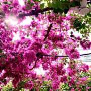 ヒメ日記 2025/03/22 09:00 投稿 らいあ 待ちナビ