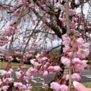 ヒメ日記 2025/04/07 14:25 投稿 らいあ 待ちナビ